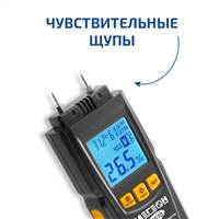 МЕГЕОН 20610